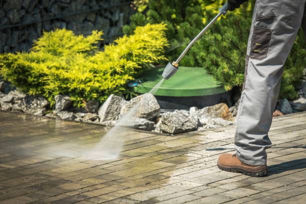 Best Winterizing Services  in Oyster Bay Cove, NY